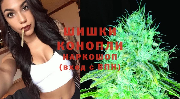 гашик Абаза