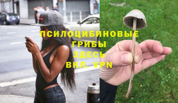 скорость Кинешма